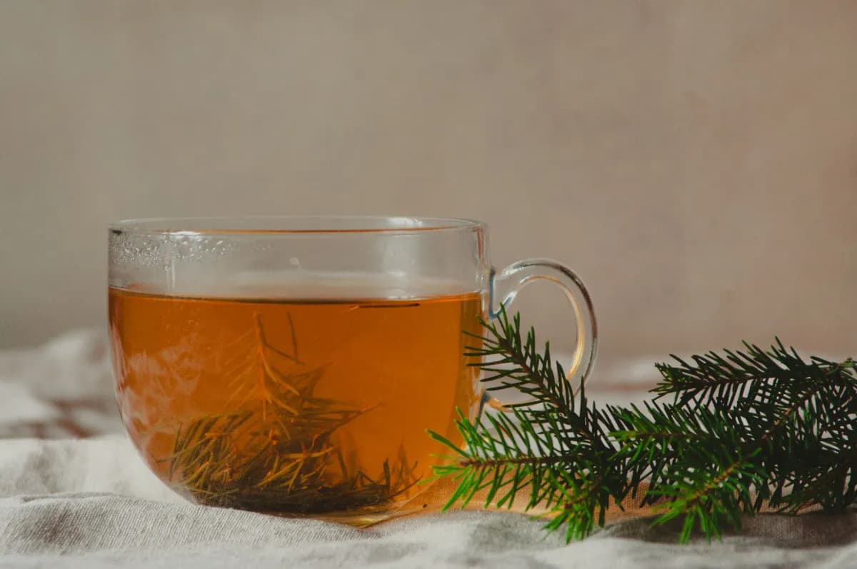 Ramas frescas de epazote junto a una taza de infusión natural.