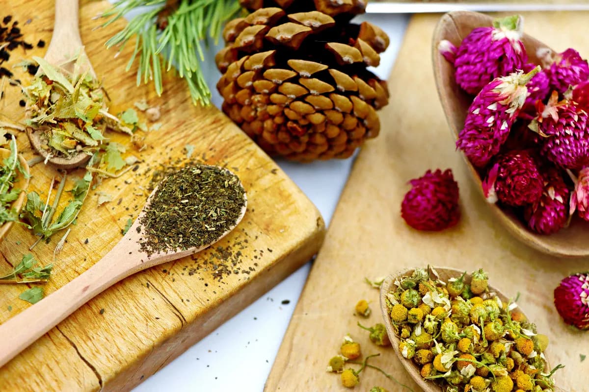 Tazas de infusiones caseras preparadas con plantas del jardín, como menta, manzanilla, romero, lavanda y albahaca, sobre una mesa de cocina luminosa.