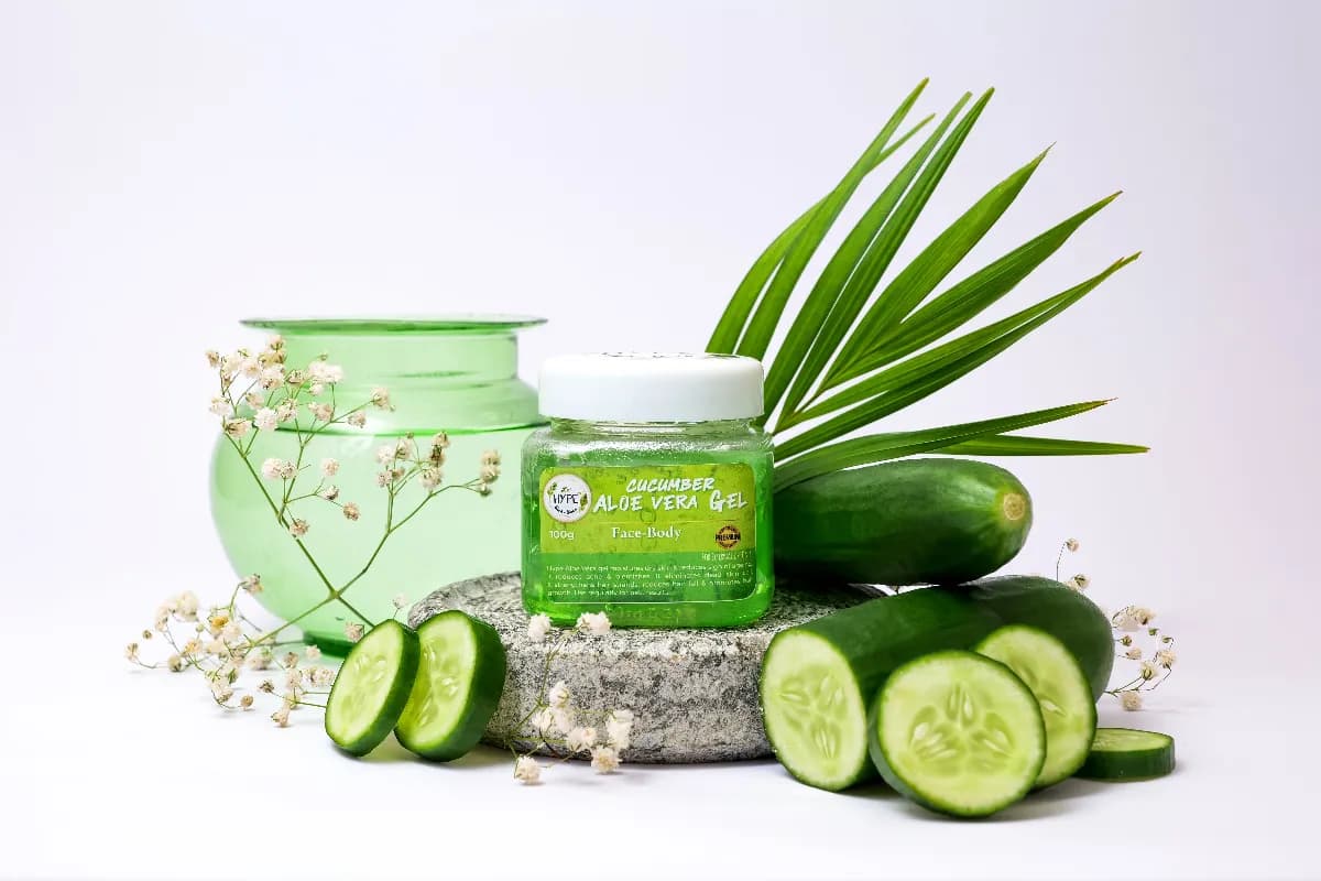 Aloe vera para la piel y el cabello: usos reales y cómo aprovecharlo